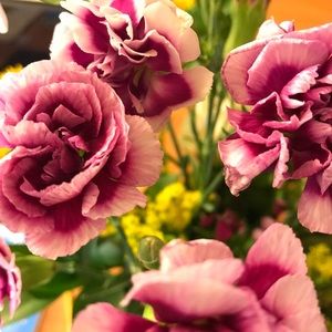 Meet your Posher, Becca